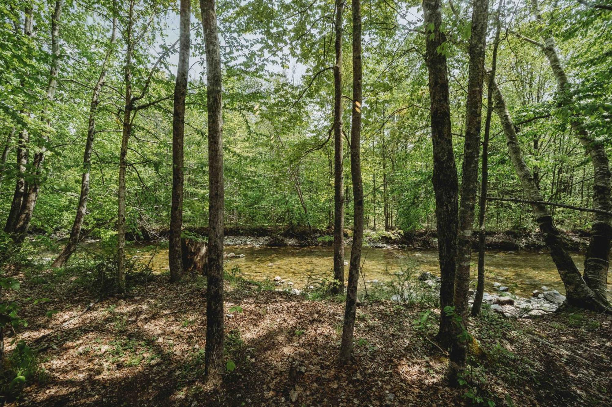 Lumen Nature Retreat Woodstock Bilik gambar